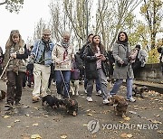 FRANCE DACHSHUND DOGS