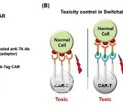 티카로스, ‘Switchable CAR-T’ 기술 네이처 커뮤니케이션스 게재
