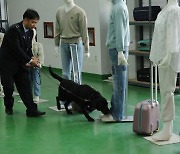 30대 여성에 "생리대도 벗어라"…마약검사 결과 '이상무' 알고보니