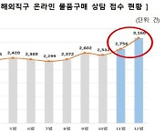 "SNS에 노출된 해외직구 쇼핑몰 조심"…소비자원 `피해주의보`