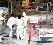 인천 강화군 농장서 고병원성 조류인플루엔자 발생