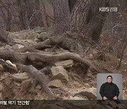 탐방로에 몰리며 ‘바위산’된 설악산…탐방객 분산 시급