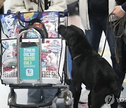 마약탐지 장비 오류…생리대까지 벗어 몸수색