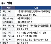 엔비디아, 21일 새벽 실적 발표…기술주 운명이 달렸다[이번주 美 증시는]