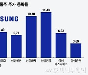 "진짜 바닥 찍었나" 대형주 급반등…가슴 쓸어내린 개미들