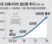 BYD 전기차 공습 경보… 한국 ‘저가 치킨게임’ 긴장