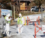 인천시, 고병원성 조류인플루엔자(AI) 발생 대비 방역 총력