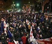 Georgia Opposition Protest