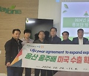 울산배 올해로 수출만 27년째…'세계인의 입맛 사로잡는다'