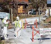 인천 강화군 농장서 고병원성 AI 확진…올해 국내 3번째 사례(종합)