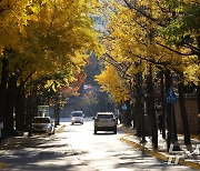 [오늘의 날씨]울산(19일, 화)…최저 5도, 풍랑주의보 "항해 선박 유의"