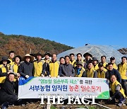 대전 서부농협, 비닐하우스 수해 복구 작업 지원