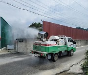 경기북부 야생멧돼지서 아프리카돼지열병 검출…유입차단 총력