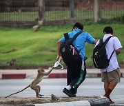 ‘현실판 혹성탈출’…태국서 원숭이 200마리 탈출 민가 습격