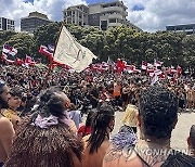 New Zealand M?ori Protest