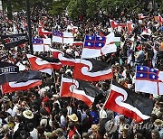 New Zealand Treaty Law Protest