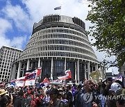 New Zealand Treaty Law Protest