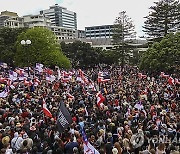 New Zealand Treaty Law Protest