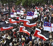 New Zealand Treaty Law Protest