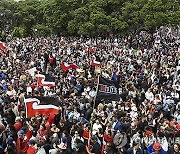 New Zealand Treaty Law Protest