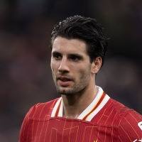 도미니크 소보슬라이