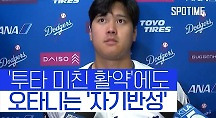 하이라이트