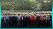 하이라이트