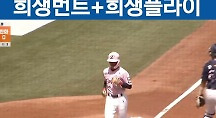 하이라이트