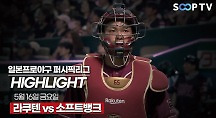 하이라이트