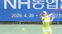하이라이트