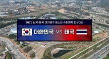 하이라이트