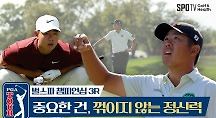 하이라이트