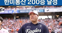 하이라이트