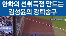하이라이트