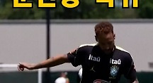 하이라이트