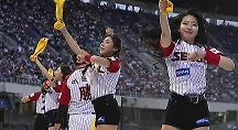 하이라이트