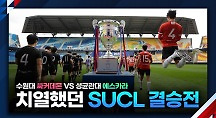하이라이트