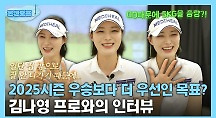 하이라이트
