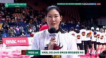 하이라이트
