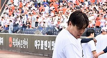 하이라이트