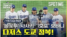 하이라이트