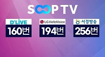 하이라이트
