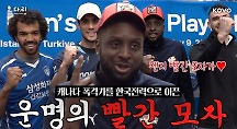 하이라이트