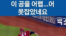 하이라이트