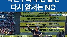 하이라이트