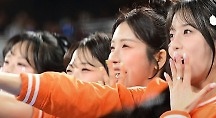 하이라이트