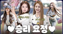 하이라이트