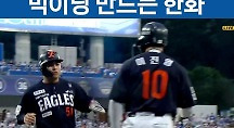 하이라이트