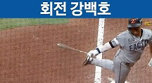 하이라이트