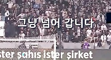 하이라이트